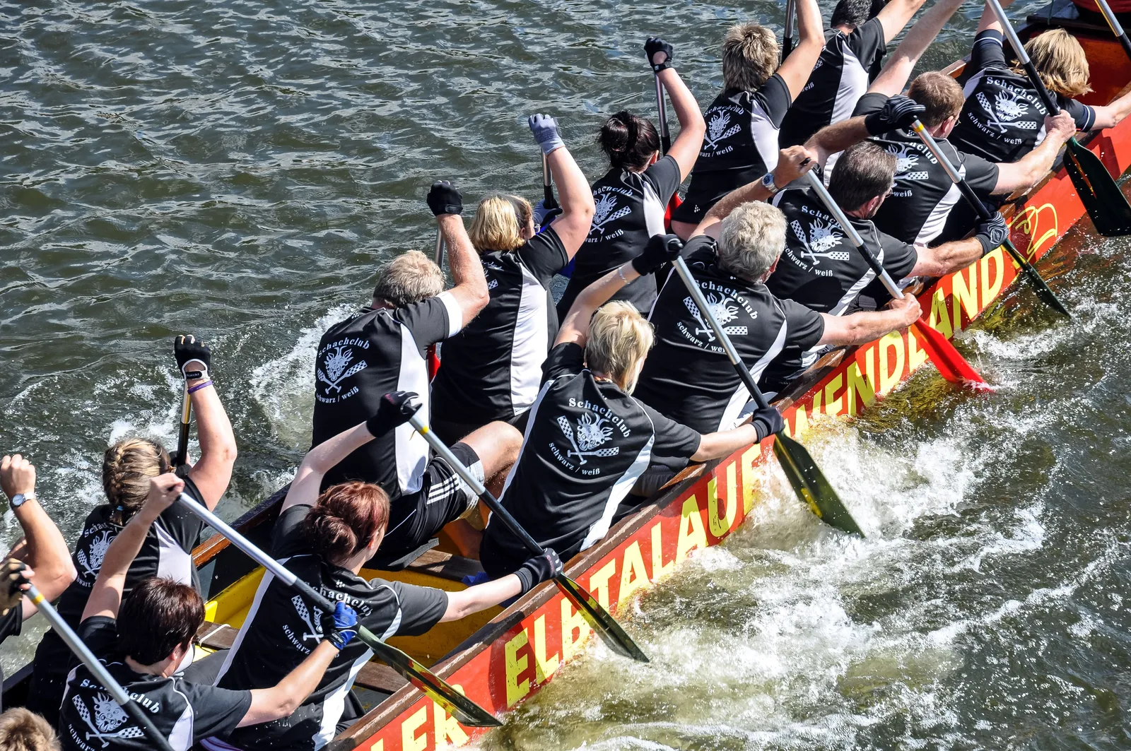 Drachenboot-Team im Gleichtakt beim Rudern – Symbol für Teamgeist und Zusammenarbeit
